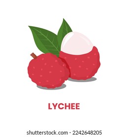 Vector de diseño de la ilustración roja pelada de frutas tropicales Lychee