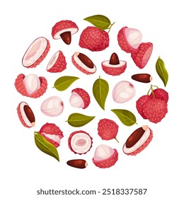 Lychee Tropical Fruta Composição Redonda com Modelo Vetorial Suculento Bruto Berry