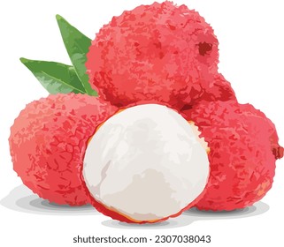 Lychee vector graphic design illustration.eps