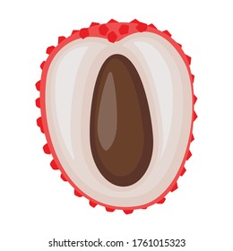 Lychee Vektorsymbol.Cartoon Vektorsymbol einzeln auf weißem Hintergrund Lychee.