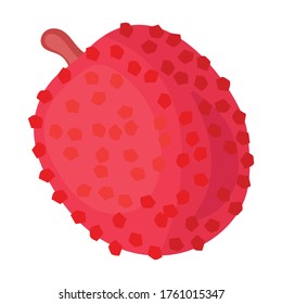 Lychee Vektorsymbol.Cartoon Vektorsymbol einzeln auf weißem Hintergrund Lychee.