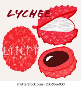 Lychee vector illustration. Colorful textured modern design.