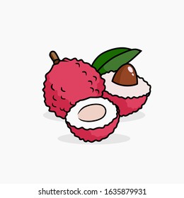 Lychee vector illustration isolated for all purpose