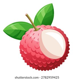 lychee vector illustration, isolated, white background