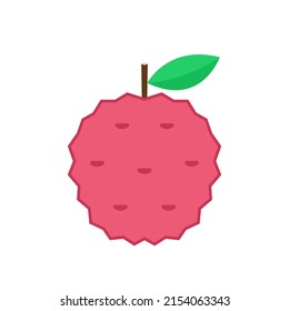 Lychee vector. Lychee vector on white background.