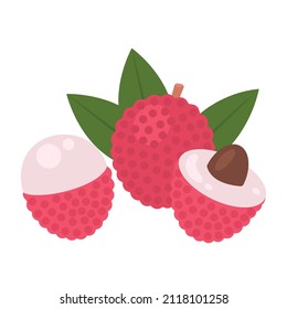 lychee whole fruit, half sliced and peeled isolated on white background. Litchi chinensis cartoon icon for package design. Vector illustration of tropical fruits in flat style.