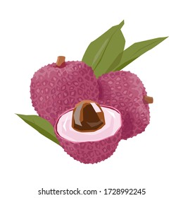 Lychee. Whole and half fruit. With leaves.  Vector illustration. Isolated on white.