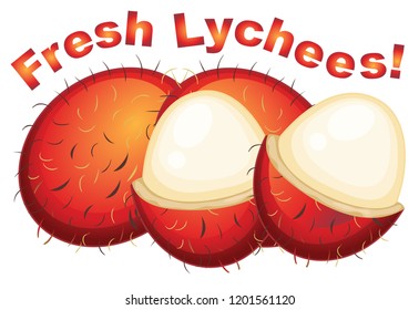 Lychees fresco en una ilustración de fondo blanco