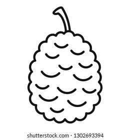 Lychees icon. Outline lychees vector icon for web design isolated on white background