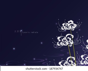 Lycoris Radiata Hd Stock Images Shutterstock