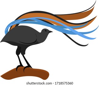 Lyerbird, illustration, vector on white background