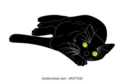 Lying black cat