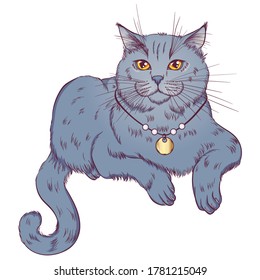 Lying British breed cat. Gray fluffy kitten. Illustration for cat cattery, pet shop, pet hotel. Vector illustrations in  hand draw style isolated on white background. Cat poster, print.