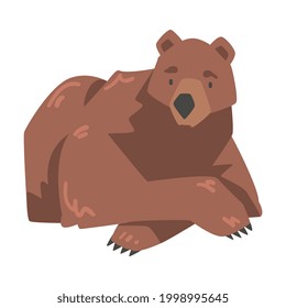 Lying Brown Bear, Large Wild Predator Mammal Animal Cartoon Vector Illustration