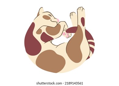 Lying calico cat in doodle style. Colored playful cat. Cute vector illustration isolated in white background