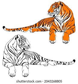 Lying calm tiger. Stylized characters set. Colored and black and white drawings by hand. Chinese zodiac symbol of 2022 lunar new year. Vector illustration.