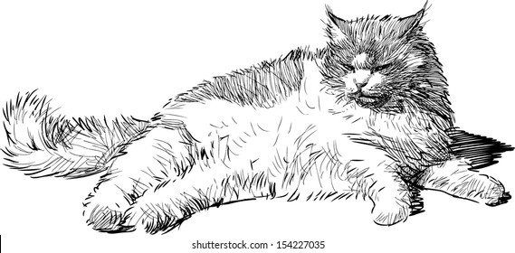 lying cat