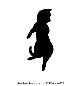 Lying cat black silhouette. Playful cat stencil. Cute vector illustration isolated in white background