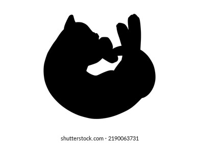 Lying cat black silhouette. Playful cat stencil. Cute vector illustration isolated in white background