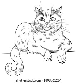 1,424 Simple cat outline tattoo Images, Stock Photos & Vectors ...