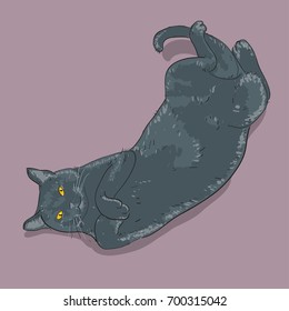 Lying cat. Hand drawn. Realistic sketch.
Vector image.