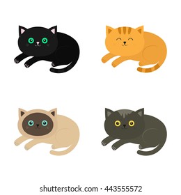 Lying cat icon set. Siamese, red, black, orange, gray color cats in flat design style. Cute cartoon character. Different eyes. White background. Isolated. Vector illustration