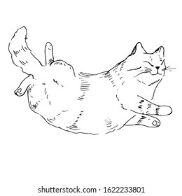 Lying cat. Line art. Vector illustration.