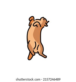 Lying cat on back color line icon. Pictogram for web page, mobile app, promo.