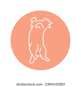 Lying cat on back color line icon. Pictogram for web page, mobile app, promo.