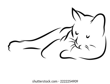 Lying cat on ilustrator in black and white