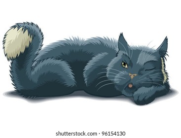 Lying cat with raised by tail watches one eye