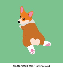 Lying corgi puppy isolated vector illustration. Cute corgi dog looking back with heart butt.