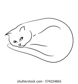 Cat Curled Up Stock Vectors, Images & Vector Art 