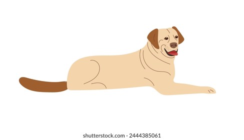 Lying dog. Animal resting. Labrador Retriever. Tired canine animal resting. Thoroughbred Pet, domestic animal. Light-colored short-haired dog. Flat vector animal isolated on white background