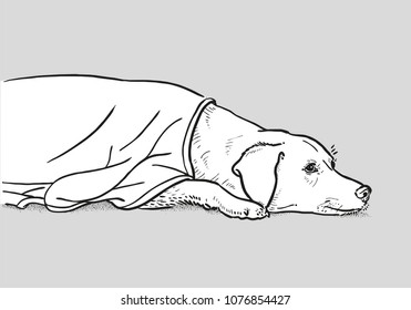 lying dog line illustration