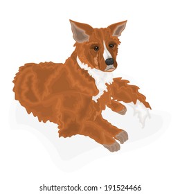 Lying dog vector illustration 