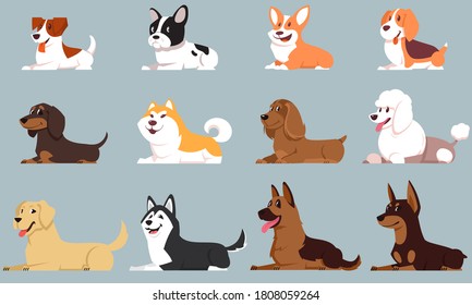 Lying dogs of different breeds. Big set of cute pets.