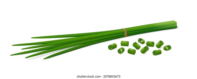 Lying down bunch of fresh chives with group of chopped green onions isolated on white background. Side view. Realistic vector illustration. svg