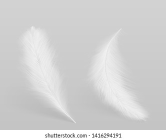 Lying, falling birds clean white, fluffy feathers 3d realistic vector isolated with shadow on grey background. Softness and grace, purity and tenderness concept design element. Lightweight symbol