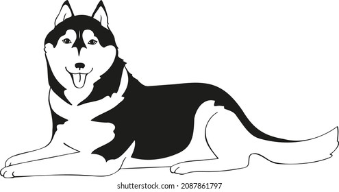 Lying husky. Graphic vector image. Design for labels, illustrations, banners.