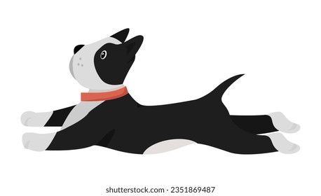 Lying little dog. Relaxed puppy, family best friend, lovely pet animal vector illustration