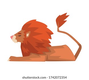 Lying Powerful Lion, Red Mammal Jungle Animal Character, Side View Cartoon Vector Illustration