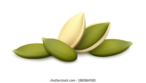 Lying pumpkin seed in open shell, whole husk, three shelled kernels isolated on white background. Realistic vector illustration.