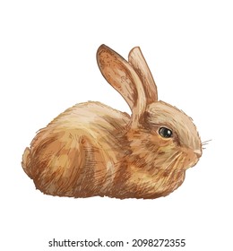 Lying rabbit. Vector vintage hatching color illustration. Isolated on white background. Hand drawn design