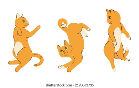 Lying red cats in doodle style. Colored playful cat. Cute vector illustration isolated in white background