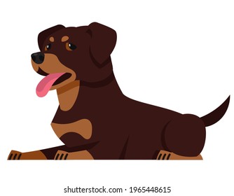 Lying Rottweiler side view. Beautiful pet in cartoon style.