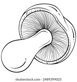 Lying russula or woolly milkcap mushroom. Brittlegill forest autumn edible mushroom. Vector illustration in hand drawn sketch doodle style. Line art graphic isolated on white for coloring book, print