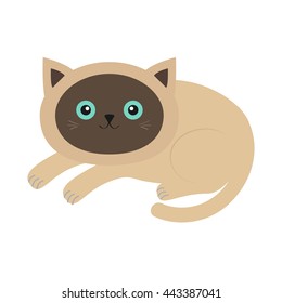Lying siamese cat in flat design style. Cute cartoon character. Happy kitten with blue eyes. White background. Isolated. Vector illustration