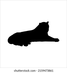 Lying (Sitting) Tiger (Big Cat Family) Silhouette for Logo or Graphic Design Element. Vector Illustration