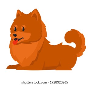 Lying Spitz side view. Cute pet in cartoon style.